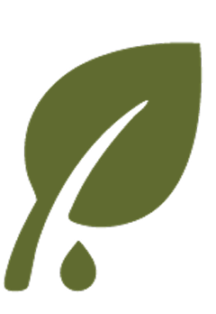 Sustainability